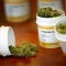 Medical Cannabis Laws